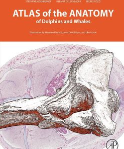 Atlas Of The Anatomy Of Dolphins And Whales (PDF)