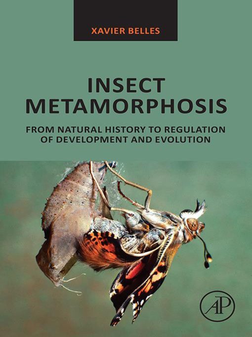 Insect Metamorphosis: From Natural History To Regulation Of Development And Evolution (EPUB)