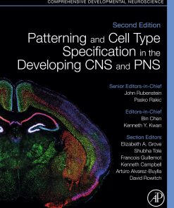 Patterning And Cell Type Specification In The Developing CNS And PNS: Comprehensive Developmental Neuroscience, 2nd Edition (EPUB)