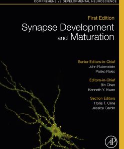 Synapse Development And Maturation: Comprehensive Developmental Neuroscience (EPUB)