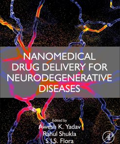 Nanomedical Drug Delivery For Neurodegenerative Diseases (EPUB)