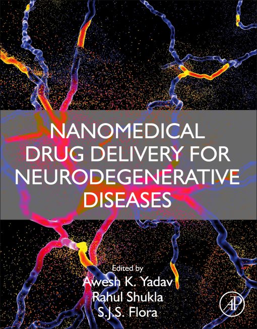 Nanomedical Drug Delivery For Neurodegenerative Diseases (EPUB)