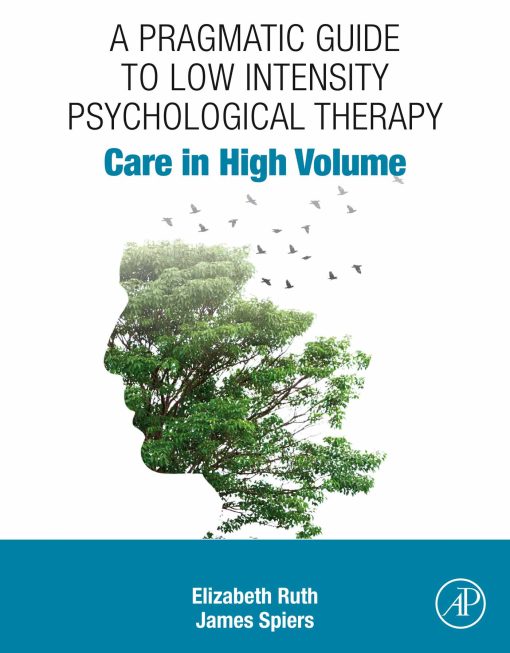 A Pragmatic Guide To Low Intensity Psychological Therapy: Care In High Volume (EPUB)