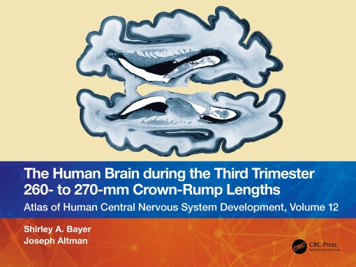 The Human Brain During The Third Trimester 260– To 270–Mm Crown-Rump Lengths: Atlas Of Central Nervous System Development, Volume 12 (EPUB)