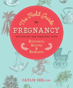 The Field Guide To Pregnancy: Navigating New Territory With Research, Recipes, And Remedies (EPUB)