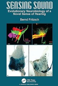 Sensing Sound: Evolutionary Neurobiology Of A Novel Sense Of Hearing (PDF)