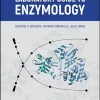 Laboratory Guide To Enzymology (PDF)