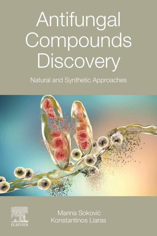 Antifungal Compounds Discovery: Natural And Synthetic Approaches (EPUB)