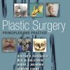 Plastic Surgery – Principles And Practice (EPUB)