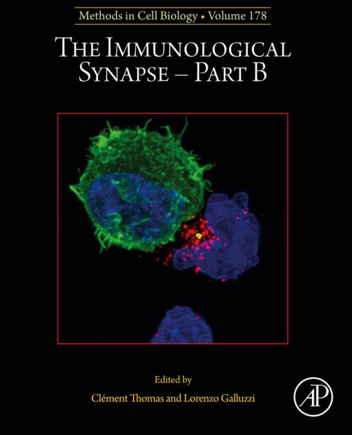 The Immunological Synapse – Part B, Volume 178 (PDF)