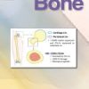 Bone Volume 178