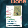 Bone PDF