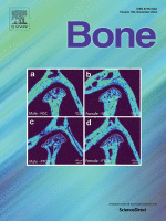 Bone PDF