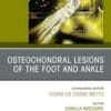 Foot and Ankle Clinics PDF