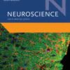 Neuroscience Volume 539