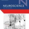 Neuroscience Volume 541