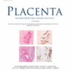 Placenta PDF