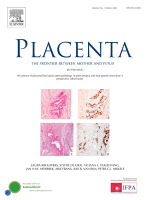 Placenta PDF