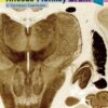 The Rhesus Monkey Brain In Stereotaxic Coordinates, 4th Edition (EPUB)