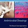 Antimicrobial Dressings: The Wound Care Applications (EPUB)