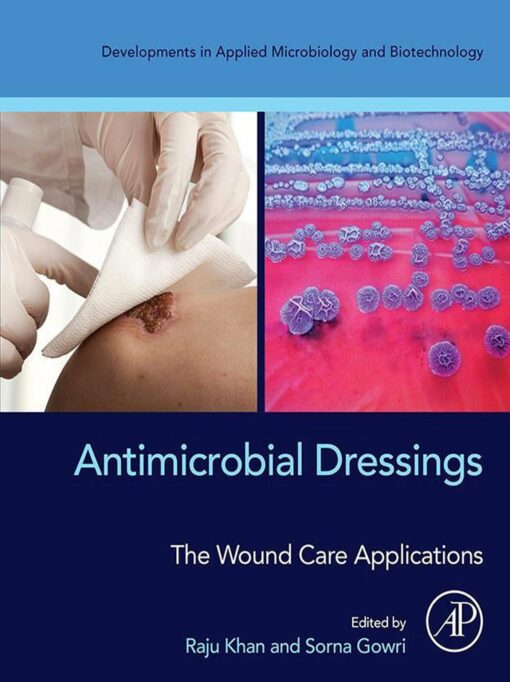 Antimicrobial Dressings: The Wound Care Applications (EPUB)