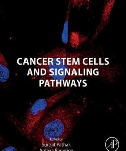 Cancer Stem Cells And Signaling Pathways (EPUB)