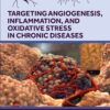 Targeting Angiogenesis, Inflammation And Oxidative Stress In Chronic Diseases (EPUB)