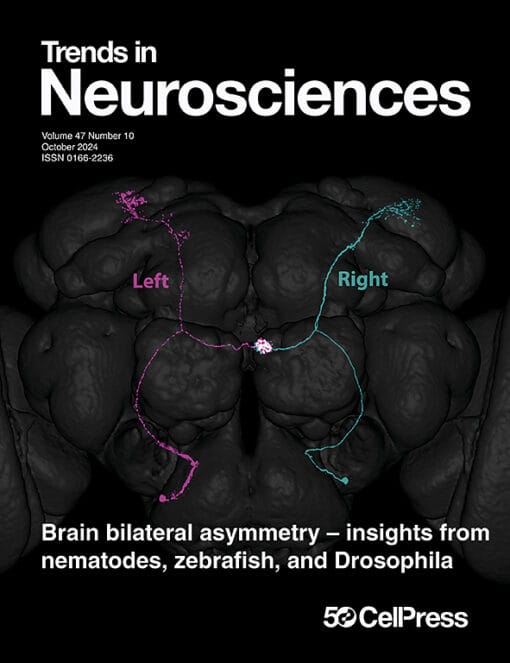 Trends in Neurosciences PDF