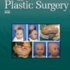 Annals of Plastic Surgery: Volume 88 (1 - 6) 2022 PDF