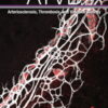 Arteriosclerosis, Thrombosis & Vascular Biology: Volume 42 (1 - 12) 2022 PDF