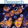 Circulation Research: Volume 130 (1 - 12) 2022 PDF