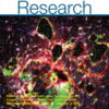 Circulation Research: Volume 131 (1 - 12) 2022 PDF