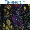 Circulation Research: Volume 131 (1 - 12) 2022 PDF