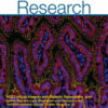 Circulation Research: Volume 133 (1 - 12) 2023 PDF