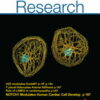 Circulation Research: Volume 133 (1 - 12) 2023 PDF