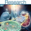 Circulation Research: Volume 133 (1 - 12) 2023 PDF