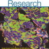 Circulation Research: Volume 133 (1 - 12) 2023 PDF