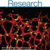 Circulation Research: Volume 134 (1 - 10) 2024 PDF