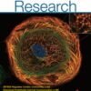 Circulation Research: Volume 134 (1 - 10) 2024 PDF