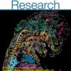 Circulation Research: Volume 134 (1 - 10) 2024 PDF