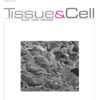 Tissue and Cell PDF