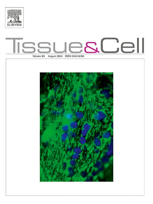 Tissue and Cell PDF