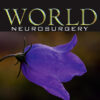 World Neurosurgery PDF