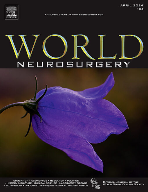 World Neurosurgery PDF