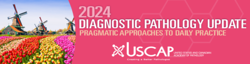 Diagnostic Pathology Update: Pragmatic Approaches to Daily Practice 2024