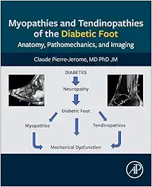 Myopathies And Tendinopathies Of The Diabetic Foot: Anatomy, Pathomechanics, And Imaging (PDF)