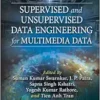 Supervised And Unsupervised Data Engineering For Multimedia Data (PDF)