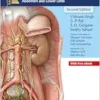 Thieme Dissector Volume 2: Abdomen And Lower Limb, 2nd Edition (PDF)