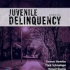 Juvenile Delinquency, 4th Edition (Justice Series) (PDF)