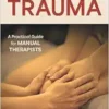 Touch After Trauma: A Practical Guide For Manual Therapists (PDF)